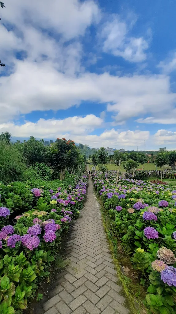 Batu, sebuah kota yang terkenal dengan keindahan alam dan udara sejuknya di dataran tinggi Jawa Timur, kini semakin lengkap dengan hadirnya destinasi wisata kuliner yang unik dan memikat hati.